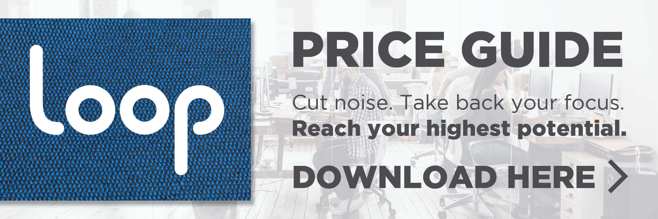 Blue Loop banner inviting viewers to download price guide.