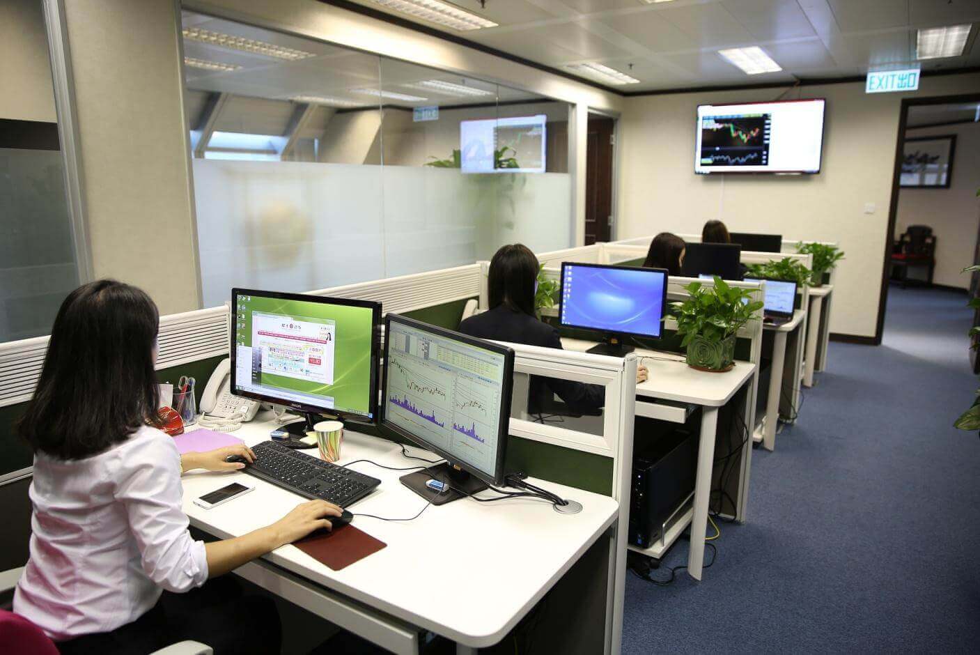 A group of professionals work alone at their desks